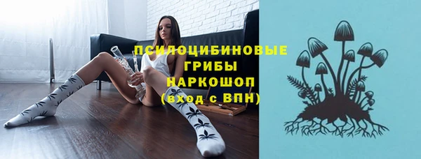 винт Липки