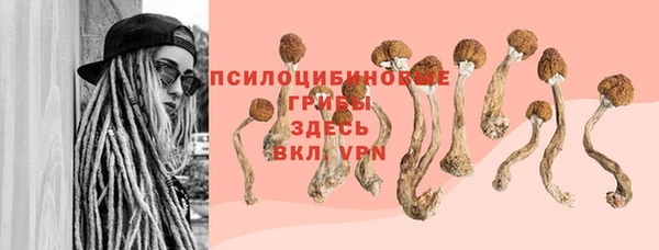 a pvp Лиски